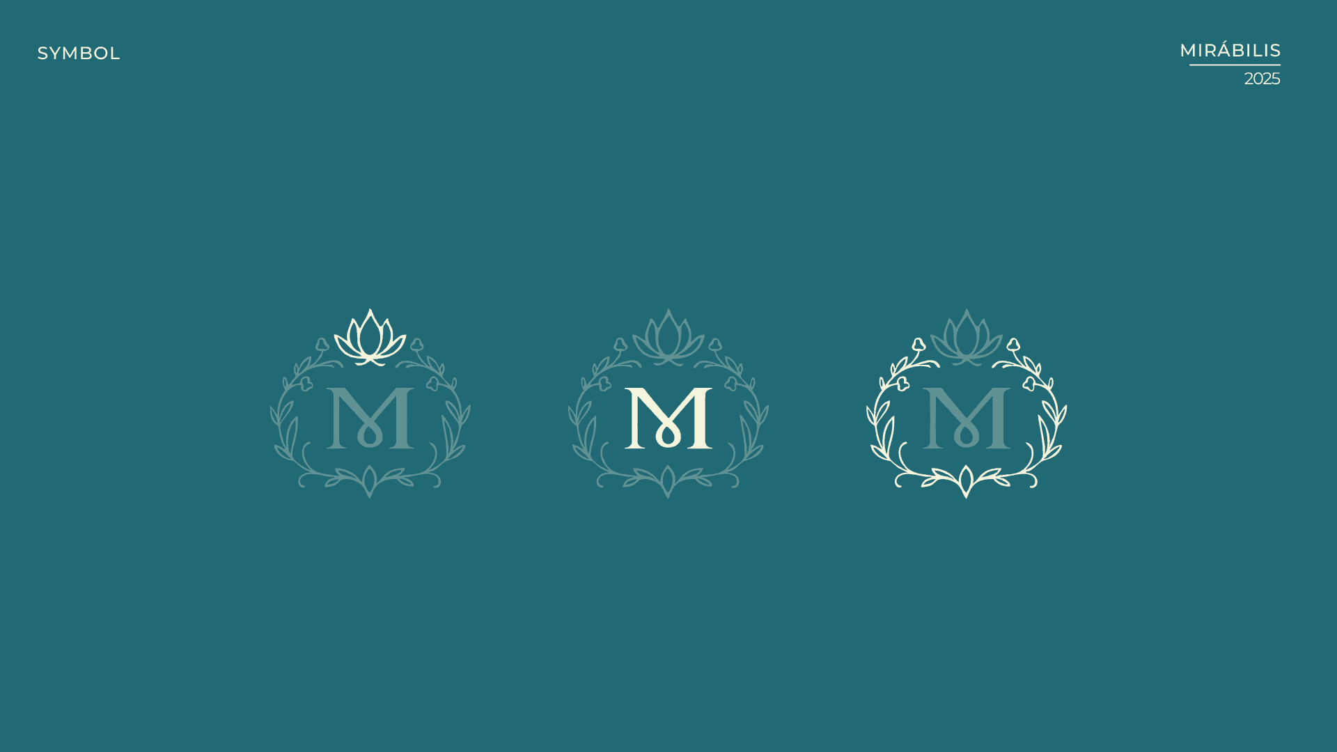 Three variations of the Mirábilis emblem